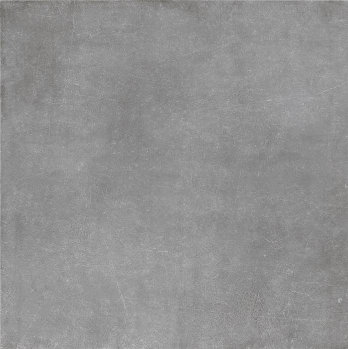 LEMAN GRIS 100x100